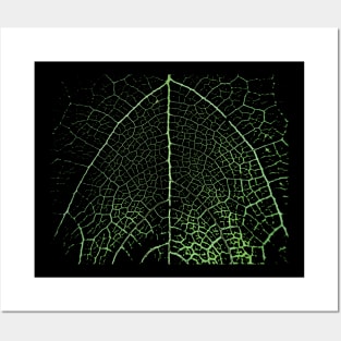 Leaf Veins- Nature Art Pattern Posters and Art